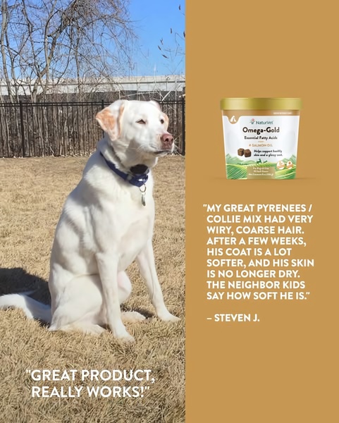 A split-screen ad creative featuring a customer quote alongside an image of a dog and the specific Omega-Gold supplement product container.